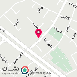 عکس مرغ زیبا