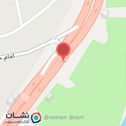 عکس زیتون سبز