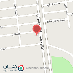 عکس پیتزا لیمو