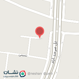 عکس کارتن سازی یسنا 