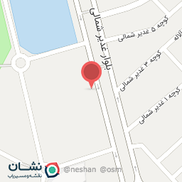 عکس فروشگاه تیرازیس