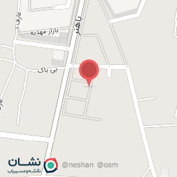 عکس فرش ملاپور