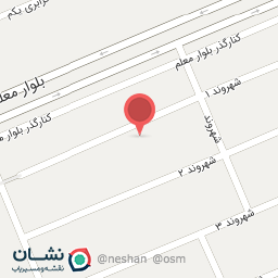 عکس بستنی یوزپلنگ