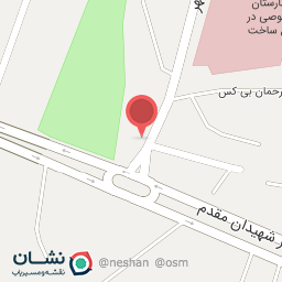 عکس برق خودرو فامیانی