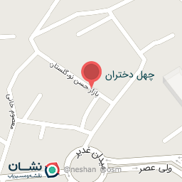 عکس کیف و کفش لطفی