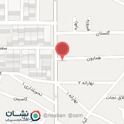 عکس فرش دستبافت آریا