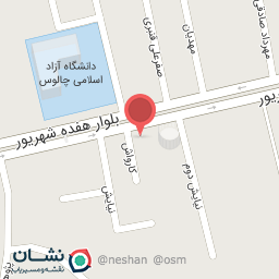 عکس نماینده گلنور (برق و صنعت حسینی)