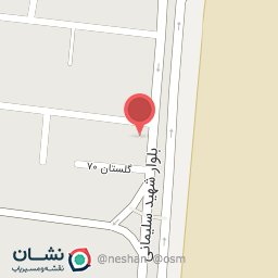 عکس رینگ و لاستیک جنرال موتورز