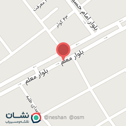 عکس فست فود نیما