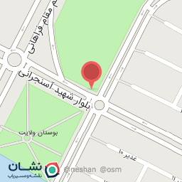 عکس شهید آسنجرانی