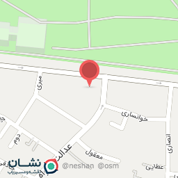 عکس کباب ساطوری سیاوش