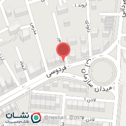 عکس الکتریکی گردو