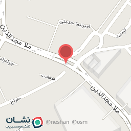 عکس کیف وکفش ادینه