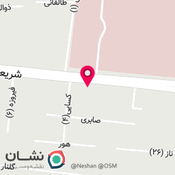 عکس دکتر سادات