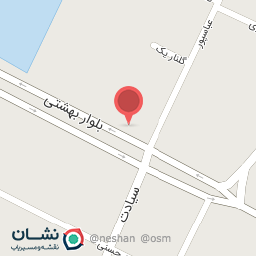 عکس الکتریکی رعد