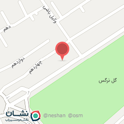 عکس اتوسرویس نقی