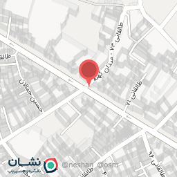 عکس پرتیین سادات