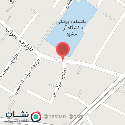 عکس بستنی قاجاری (بستنی نمکی)