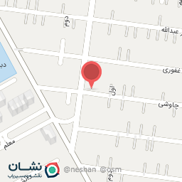 عکس فست فود