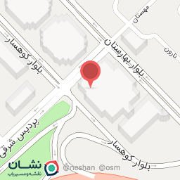 عکس کفش یاشار