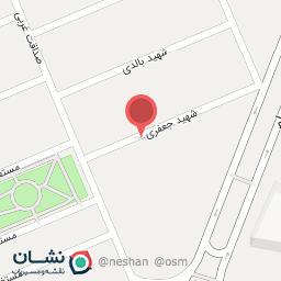 عکس مرغ و ماهی باران