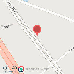 عکس مرغ و پاچینی تاج