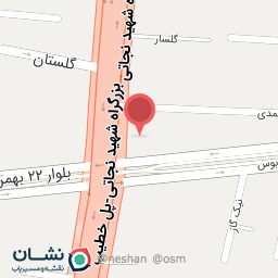 عکس آجیلی اعیان