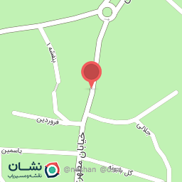 عکس مکانیکی فواد