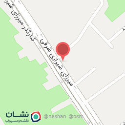 عکس برگرهای تخصصی لاویا