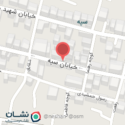 عکس کیف پاپیون