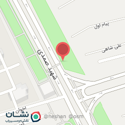 عکس علامه امینی