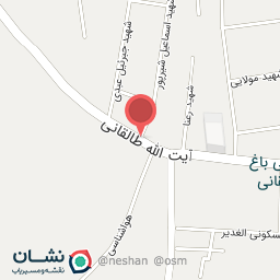 عکس خراطی میخک