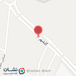 عکس کینگ برگر امیر استار