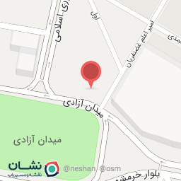 عکس دنر برگر زغالی هیزم