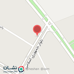 عکس گل فروشی لاله 3