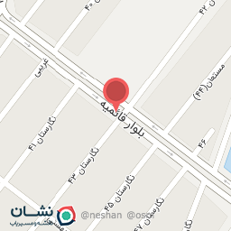 عکس پیتزا میثم