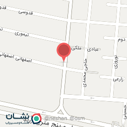 عکس فست فود فلافل طلایی