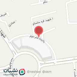 عکس الکتریکی رضا