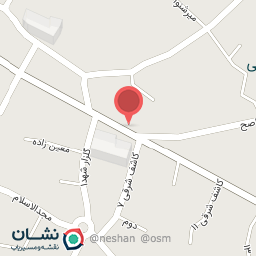 عکس صدیقه طاهره