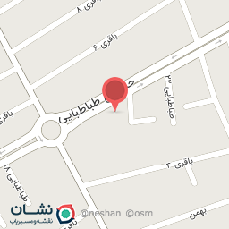 عکس برق اتومبیل شیبانی