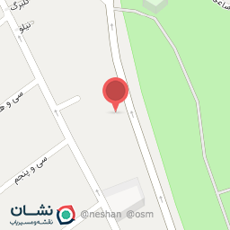 عکس هلدینگ قو سیاه