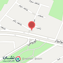 عکس جگرکی جگر طلا