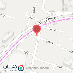 عکس سرآمد فن آوری اطلاعات یه پردازان