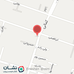 عکس الکتریکی