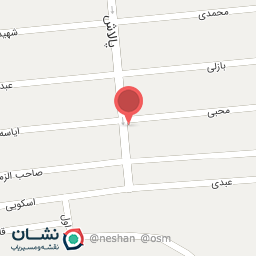 عکس میوه خشک یسنا