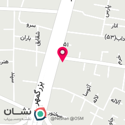 عکس مرجان شایگان