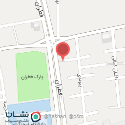 عکس لاستیک تقی زاده 