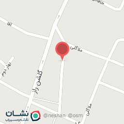 عکس نوشین چرم