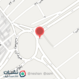 عکس کیف و کفش آریو