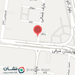 عکس اتو سرویس آرش 